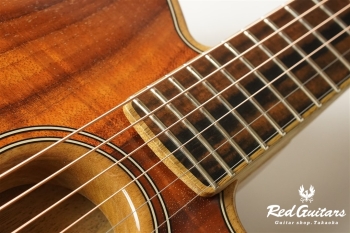 American Acoustasonic Telecaster Exotic Koa